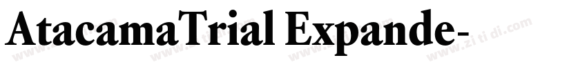 AtacamaTrial Expande字体转换